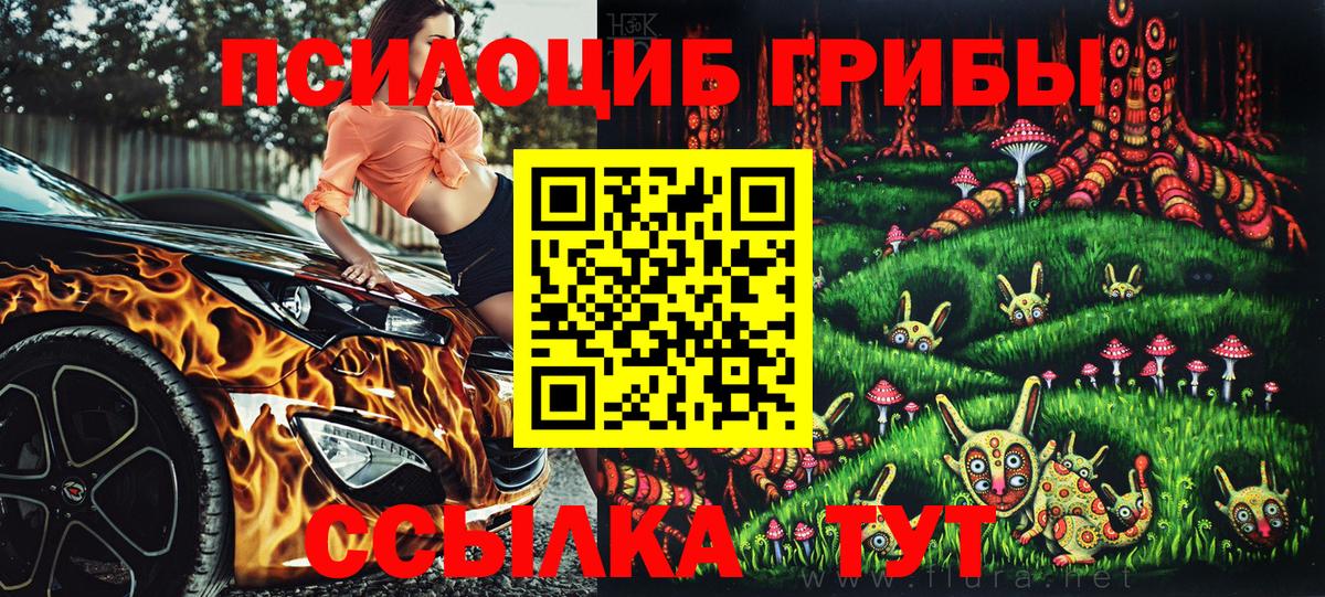 Псилоцибиновые грибы мицелий Ярцево