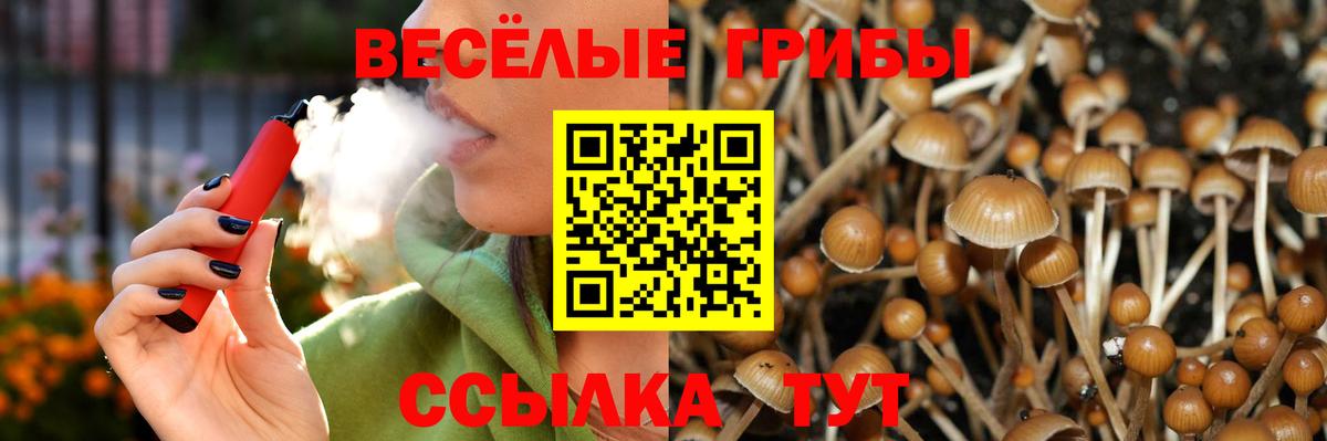 Ярцево  купить   Вход с VPN  Псилоцибиновые грибы прущие грибы 
